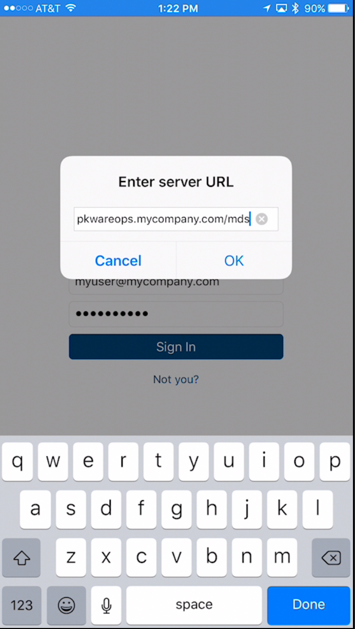 User enters the server URL 